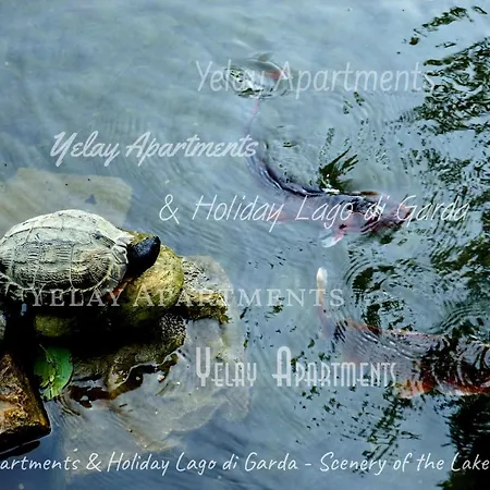 Yelay & Holiday Lago Di Garda Apartment